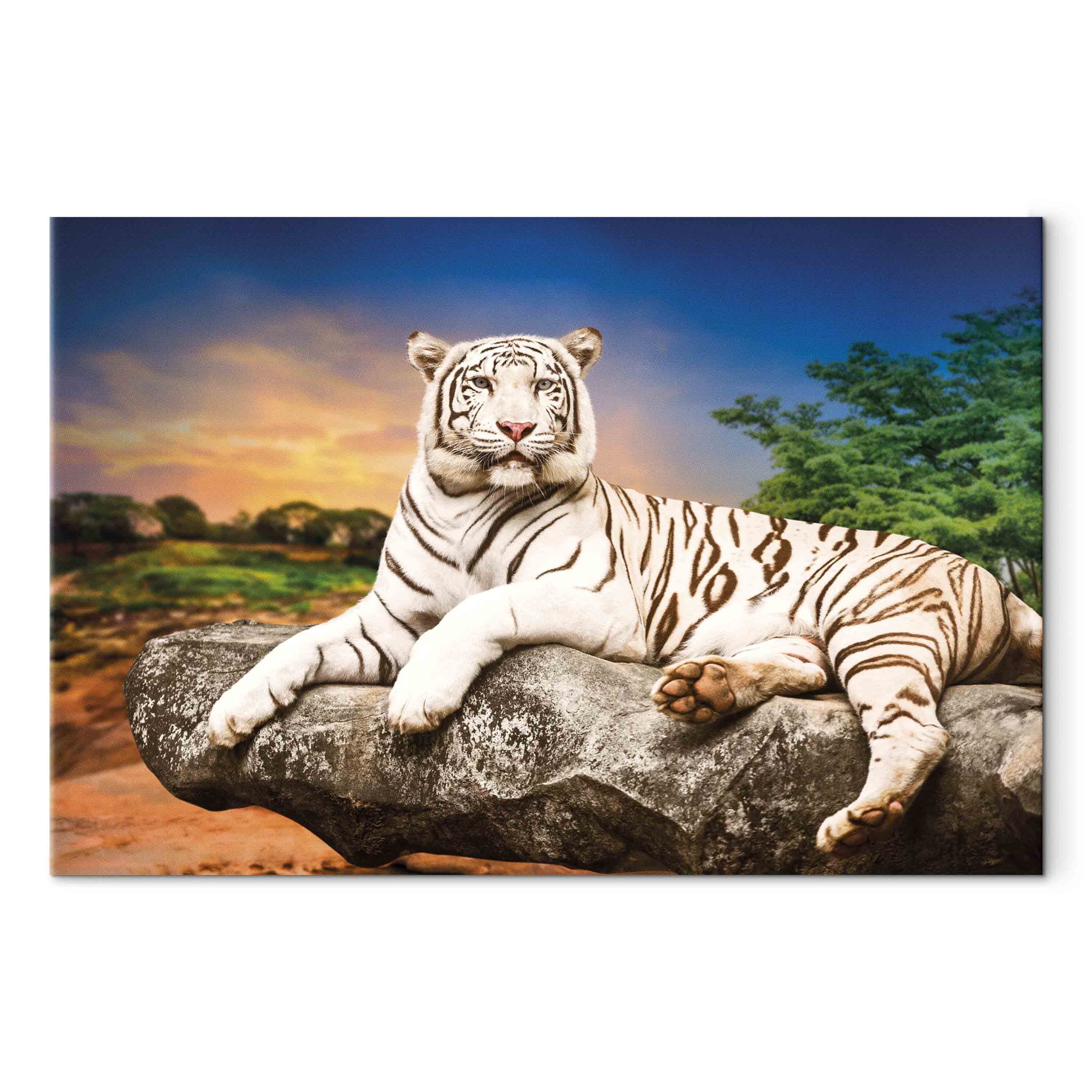 Tiger Wildtiere Natur Baum VLIES LEINWAND DEKO BILDER WANDBILD XXL WOHNZIMMER